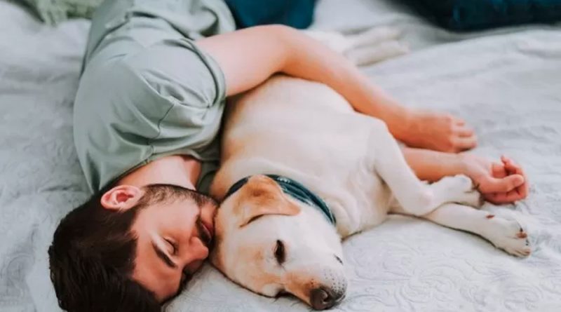 ¿Se duerme mejor con mascotas? Esto dice la ciencia