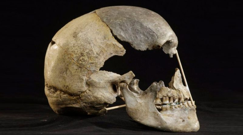 Un ancestro neandertal aporta el genoma humano moderno más antiguo