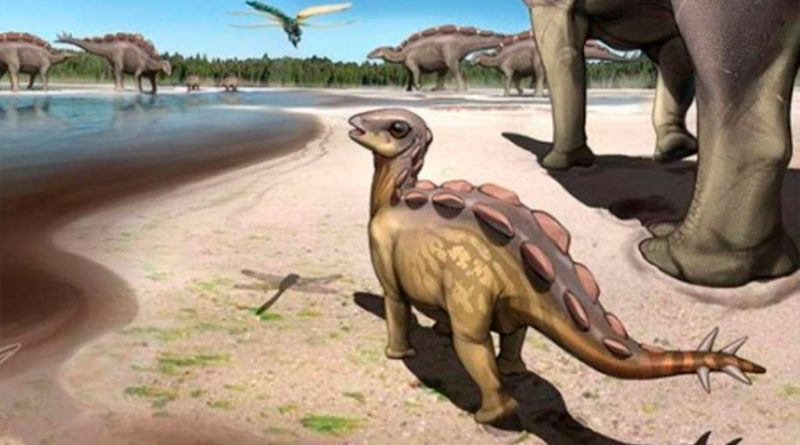 Huella de dinosaurio del tamaño de un gato descubierta en China