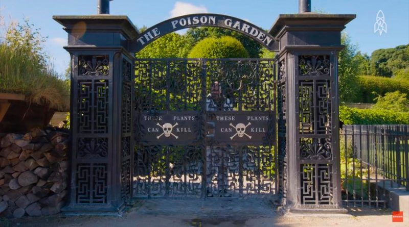 The Poison Garden, el jardín más peligroso del mundo, en donde todas las plantas son venenosas