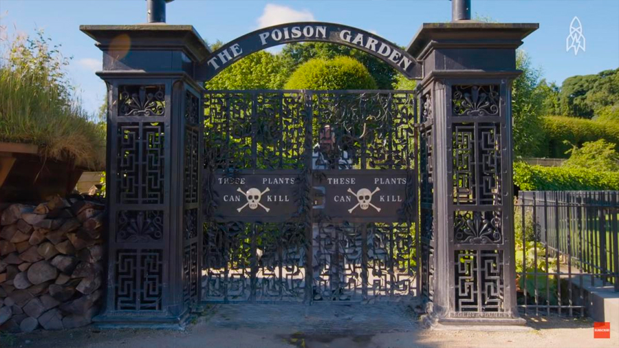 The Poison Garden, el jardín más peligroso del mundo, en donde todas las plantas son venenosas