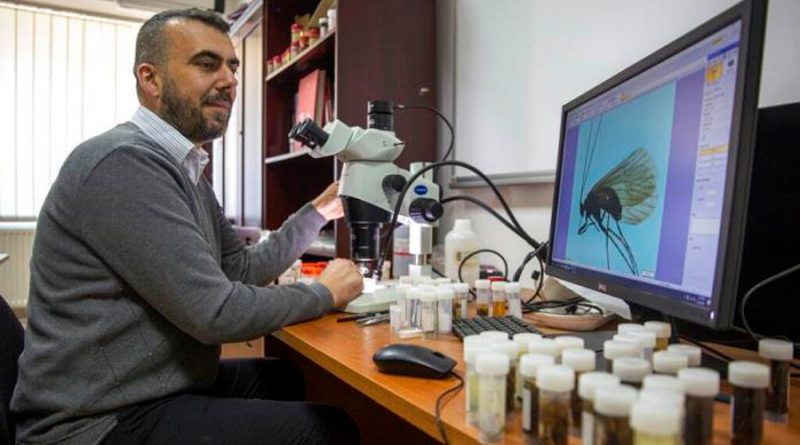 Biólogo de Kosovo descubre insecto; lo llama coronavirus