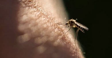 Prometedora vacuna demuestra por primera vez alta eficacia para combatir la malaria