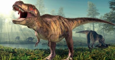 Confirman a qué velocidad caminaba el temible Tiranosaurio Rex: 4.6 km/h