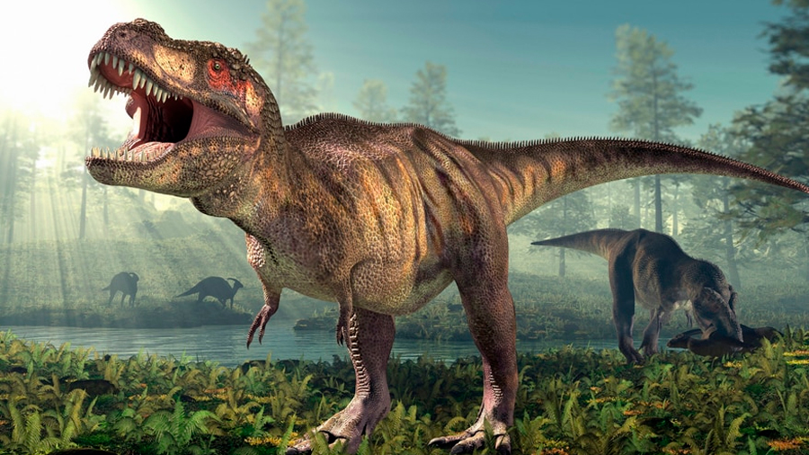 Confirman a qué velocidad caminaba el temible Tiranosaurio Rex: 4.6 km/h