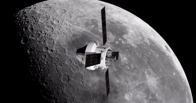 La resistencia de los hongos a la radiación se probará en órbita lunar