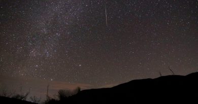 Restos de cometa Halley iluminarán el cielo con lluvia de estrellas