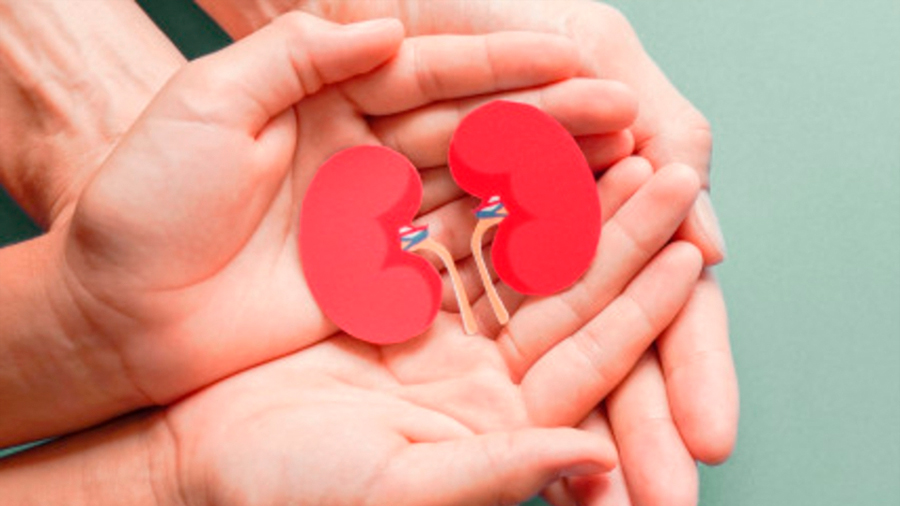 Más de17 mil mexicanos esperan trasplante de riñón por afectación renal crónica: Cenatra