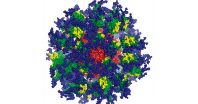 Vacuna contra el VIH: cuatro décadas de investigación generan nuevas esperanzas