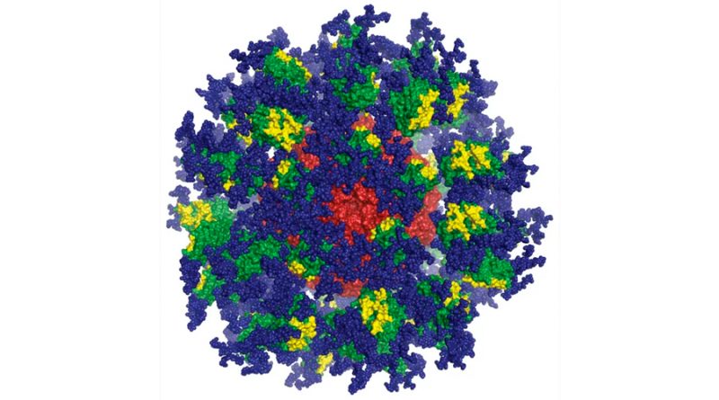 Vacuna contra el VIH: cuatro décadas de investigación generan nuevas esperanzas