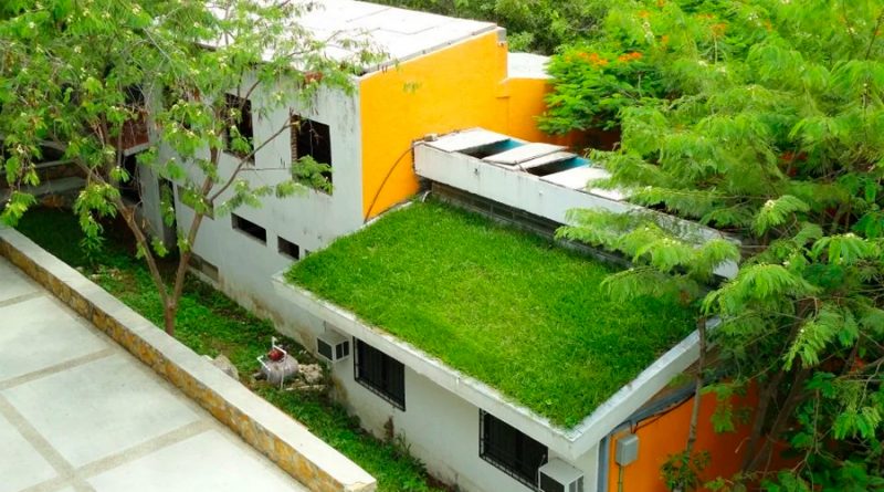 Crean mexicanos techos ecológicos y baratos que refrescan hasta 17 grados