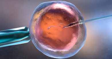 Fecundación postmortem: ¿usarías el esperma de tu pareja fallecida para embarazarte?