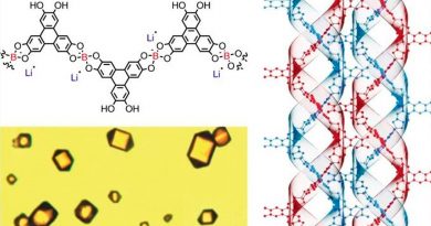 Primer polímero sintético similar al ADN