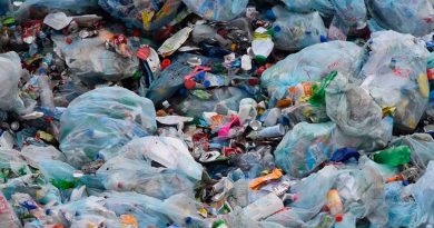 5 alternativas para un planeta sin plástico