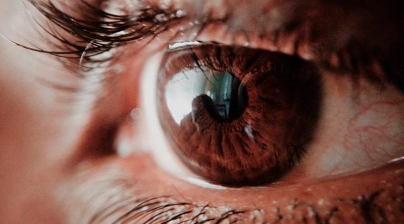 Estudiantes mexicanos crearon un sistema de IA que detecta la retinopatía diabética
