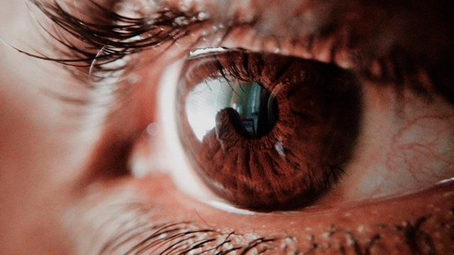 Estudiantes mexicanos crearon un sistema de IA que detecta la retinopatía diabética