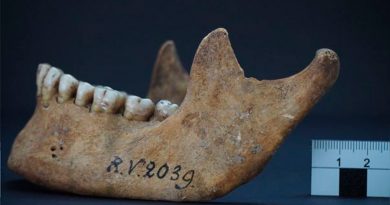 Identifican a cazador-recolector de hace 5 000 años como primera víctima de peste