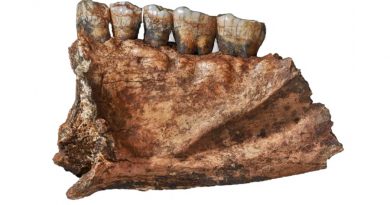 La sorprendente y variada dieta que permitió a los neandertales sobrevivir en Siberia