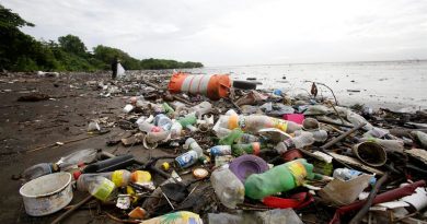 La basura marina en cifras: el 80 % es plástico, sobre todo bolsas y botellas