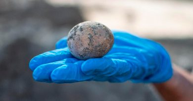 Arqueólogos encuentran un huevo de gallina intacto de hace 1.000 años... y lo rompen sin querer en el laboratorio