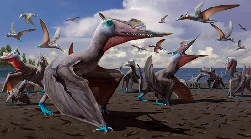 Descubren nueva especie de pterosaurio revelada por huellas fósiles en China
