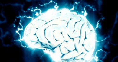 Investigadores descubren hierro y cobre en cerebro de pacientes fallecidos por alzheimer