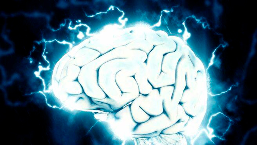 Investigadores descubren hierro y cobre en cerebro de pacientes fallecidos por alzheimer