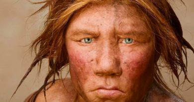 Menú prehistórico: revelan qué comían los neandertales hace 60,000 años