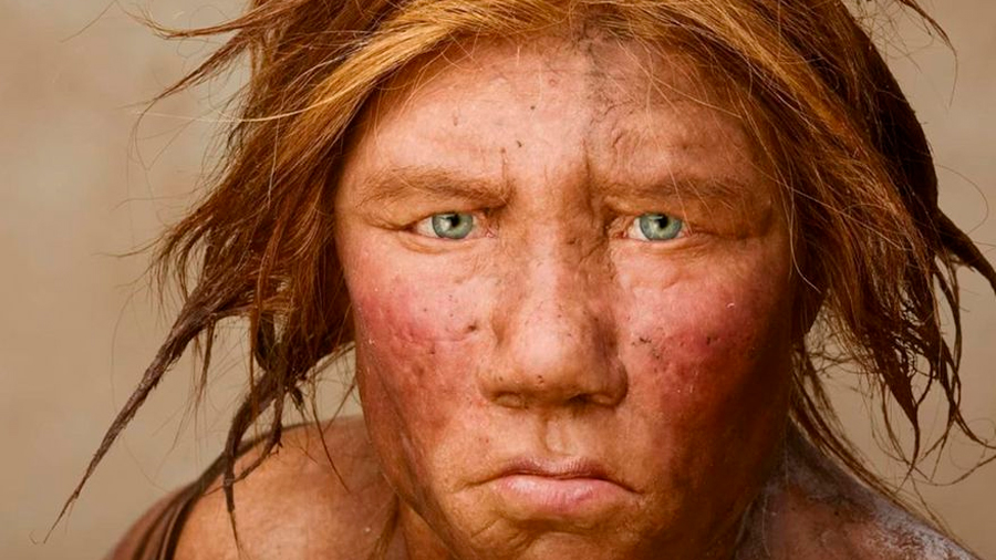 Menú prehistórico: revelan qué comían los neandertales hace 60,000 años