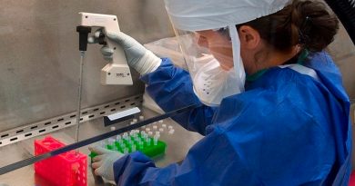 Científicos de células madre logran grandes avances en la creación de minirriñones