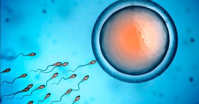 Estudio: vacunas de Pfizer y Moderna podrían aumentar el recuento de espermatozoides en hombres