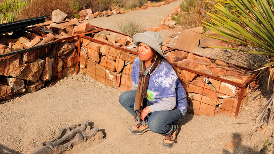 El patrimonio paleontológico da cuenta de la historia del lugar, mi historia se remonta a 72 millones de años: Felisa Aguilar Arellano