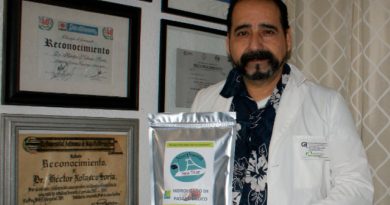 Centro de investigación mexicano patenta un proceso que transforma la pasta de coco en nuevos ingredientes alimenticios para animales