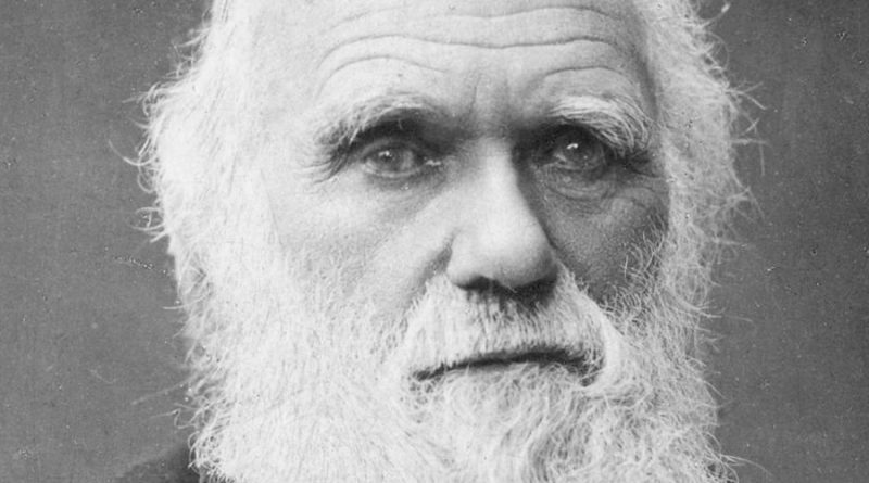 ¿Charles Darwin se habría equivocado en su teoría de la evolución?