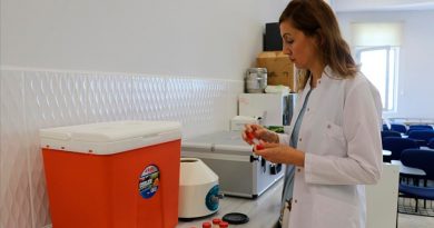 Científicos turcos desarrollan crema de manos a partir del boro