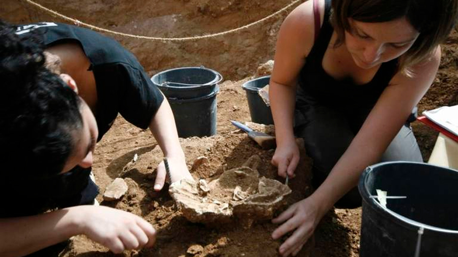 Descubren nueva especie de hombre prehistórico en Israel