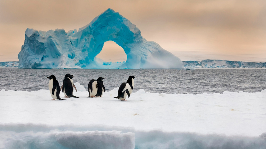 Antártida registra nuevo récord de temperatura más alta, 18.3 grados centígrados