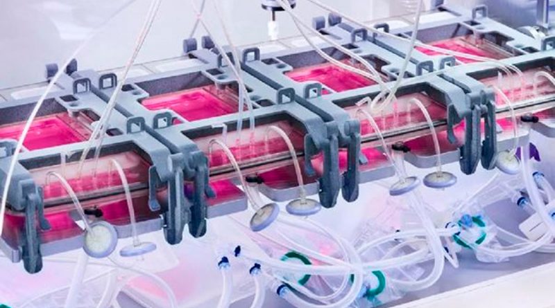 Suiza desarrolla la primera máquina que reproduce piel para injertos