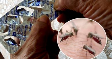 Investigadores en México revelan que fármaco para diabetes inhibe virus del dengue