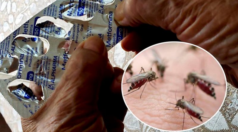 Investigadores en México revelan que fármaco para diabetes inhibe virus del dengue