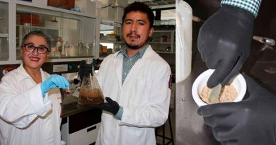 Descubren investigadores mexicanos que planta de gordolobo ayuda a hígado graso