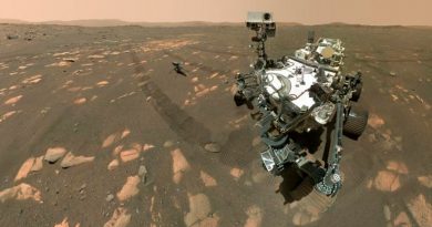 Marte: así fue como el Perseverance logró tomar su primera selfi