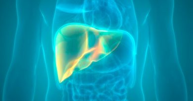 Consiguen reparar vías biliares en hígados humanos mediante organoides