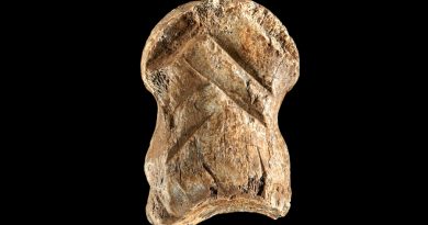 Hallado un símbolo tallado por un neandertal hace 51 mil años