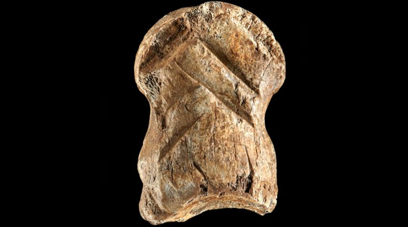 Hallado un símbolo tallado por un neandertal hace 51 mil años