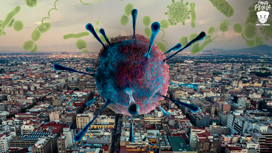 Identifican bacterias causantes de males respiratorios en el aire de la Ciudad de México