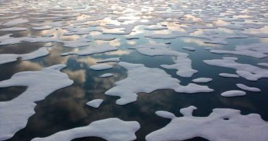 La Tierra pierde 87,000 kilómetros cuadrados de hielo cada año