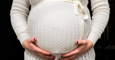 Es posible inducir el embarazo en ratones macho… y tal vez en humanos