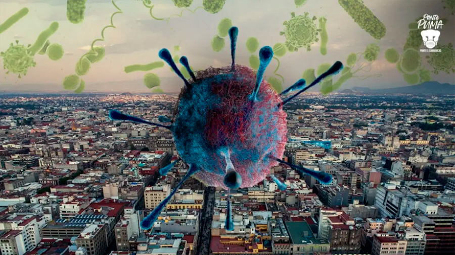 UNAM encuentra patógeno causante del hongo negro en aire de la Ciudad de México