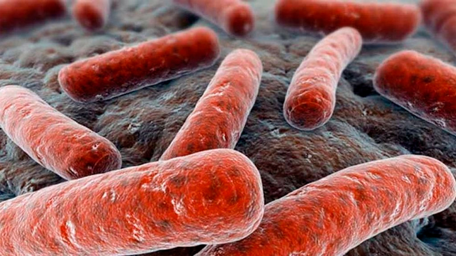 Un limpiador 'asesino' de las células humanas elimina las bacterias